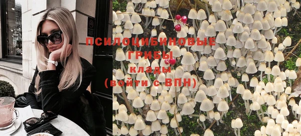 твердый Алексин
