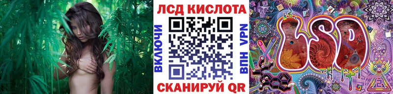 Наркотические марки 1500мкг Мегион